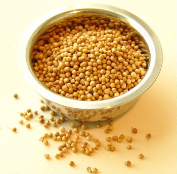 Cilantro or Coriander