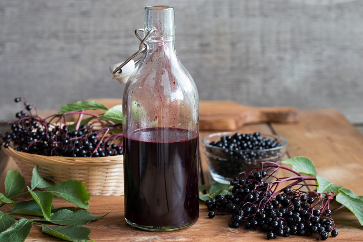 Elderberries, Herbal Teas, Sage Hill Botanicals, sagehillbotanicals.com