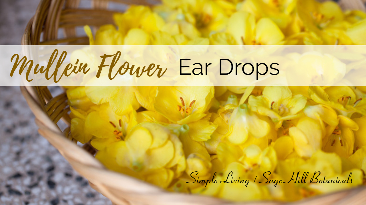 Mullein Flower Ear Drops