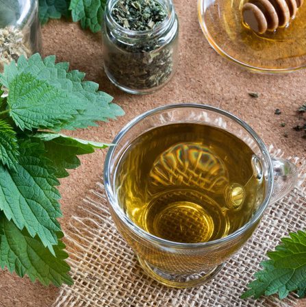 Nettle, Herbal Teas, Sage Hill Botanicals, sagehillbotanicals.com