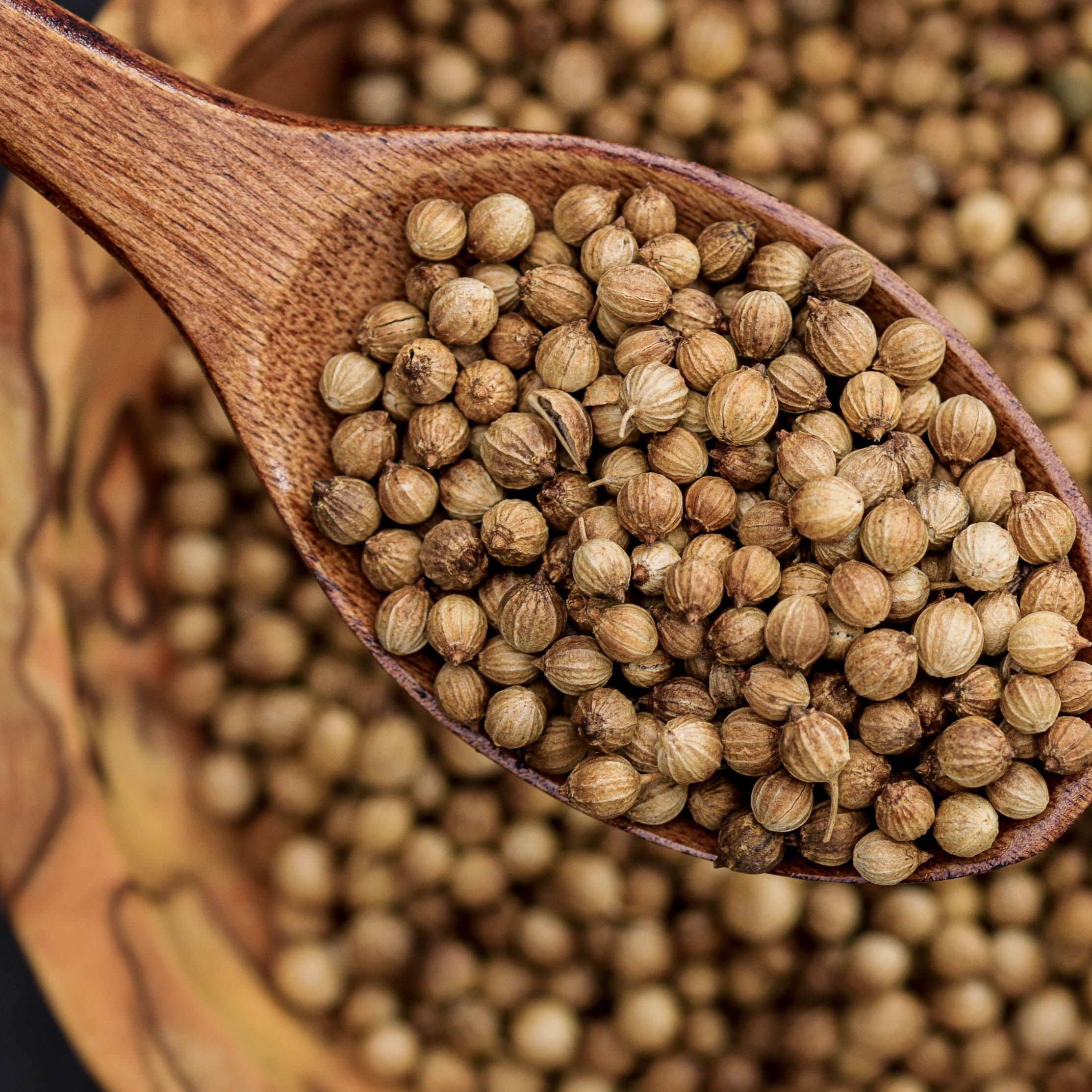 Cilantro or Coriander