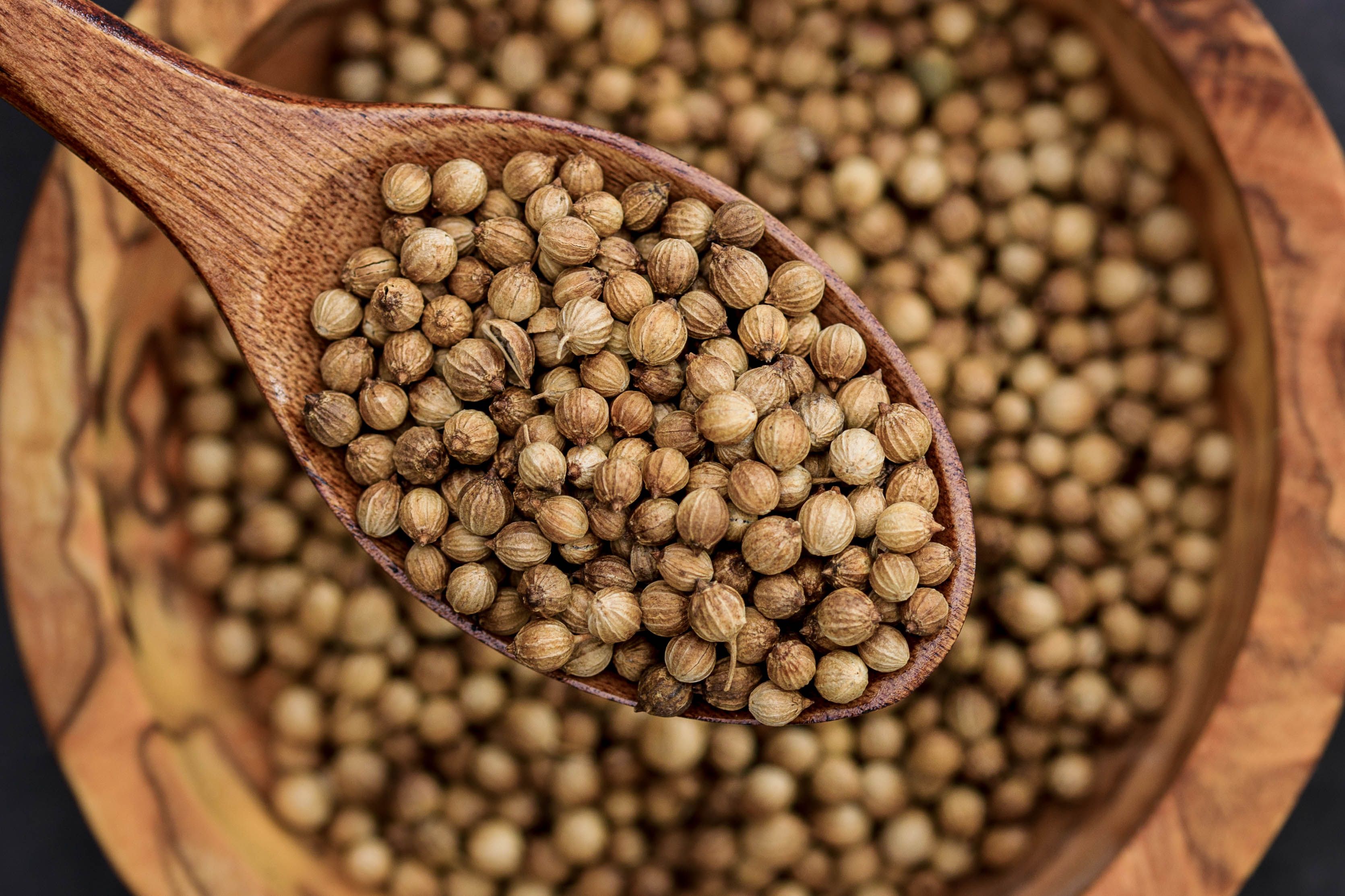 Cilantro or Coriander